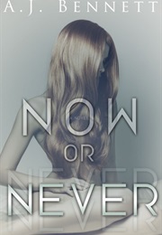 Now or Never (Alexander Twins #1) (A.J. Bennett)