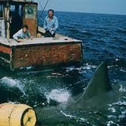 We're Gonna Need a Bigger Boat"