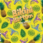 Metal Monkey Brewing Pineapple Gose