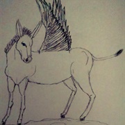 Winged Donkey Meagan Scribner