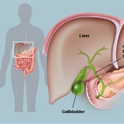 Gallbladder Failure
