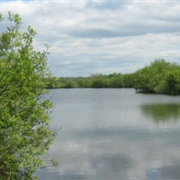 Whittlesey Creek National Wildlife Refuge