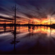 Black Bayou Lake National Wildlife Refuge