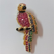 Ruby and Sapphire Parrot