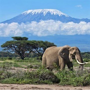 Kilimanjaro National Park, Tanzania