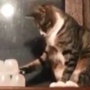 When They Throw Your Drink Down