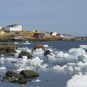 Red Bay, Labrador, Newfoundland and Labrador