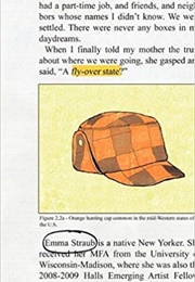 Fly-Over State (Emma Straub)