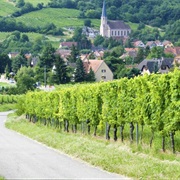 Route Des Vins D&#39;Alsace