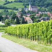 Route Des Vins D'Alsace