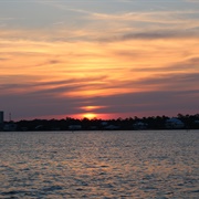 Go on a Sunset Dolphin Cruise