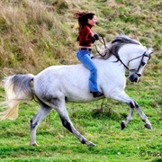 Ride a Horse Bareback