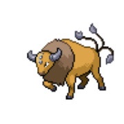 Tauros