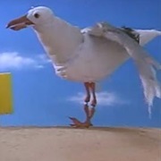 Seagull (SpongeBob Squarepants)