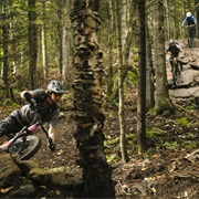 Mountain Biking in Quebec