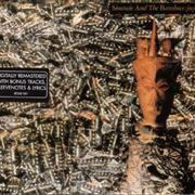 Siouxsie & the Banshees - JUJU