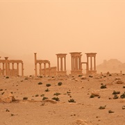 Syrian Desert