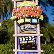 Animal Actors on Location