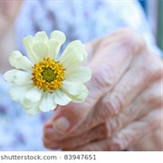 Go to a Nursing Home and Give Everyone a Flower