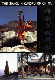 Shaolin Kung Fu (Unknown)
