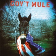Gov't Mule - Gov't Mule