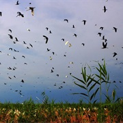 Ag-Gol National Park, Azerbaijan