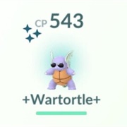 Shiny Wartortle With Sunglasses