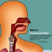 Post-Nasal Drip