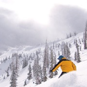 Wolf Creek Ski Area