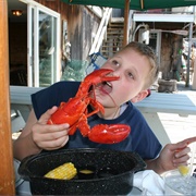 Have You Ever Eaten Lobster?
