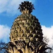 Pineapple Cupola
