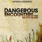Dangerous Encounters With Brady Barr