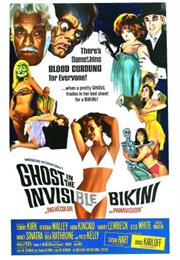 The Ghost in the Invisible Bikini