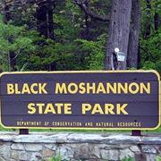Black Moshannon State Park