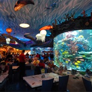 Dinner at the Coral Reef Restaurant, EPCOT, Florida