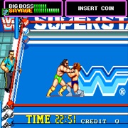 WWF Superstars