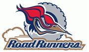 Edmonton Roadrunners