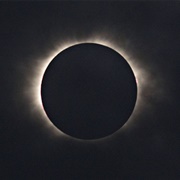 Watch a Solar Eclipse