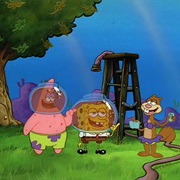 Tea at the Tree Dome