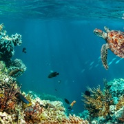 Isle-O-Kopa, St. Thomas