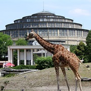 Wroclaw Zoo
