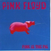 Pink Floyd - Pigs (David Gilmour)