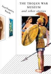 The Trojan War Museum (Ayşe Papatya Bucak)
