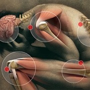 Less Aches & Pains in My Body