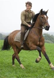 Joey (War Horse)