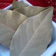 Smyrna Bay Leaf
