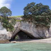 Coromandel New Zealand