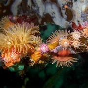 Port Hardy, Vancouver Island