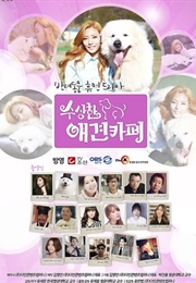 Suspicious Dog Cafe (2015)