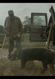 Mr Pig (2015)